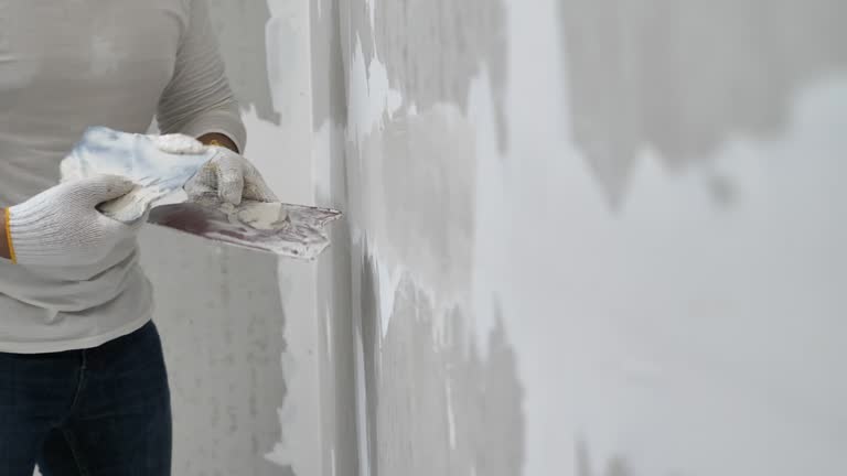 Best Drywall Sanding and Smoothing  in Ramseur, NC